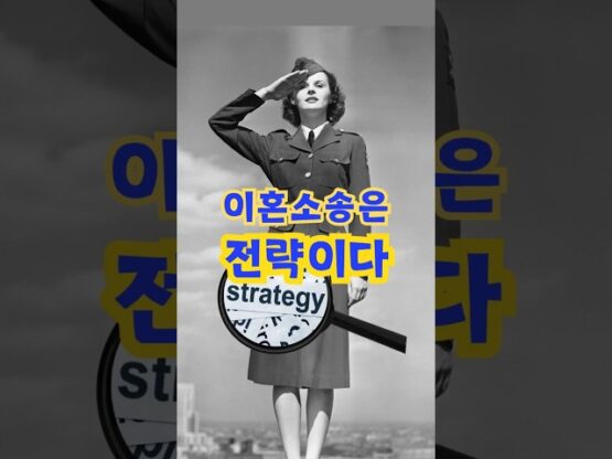 대전이혼소송변호사