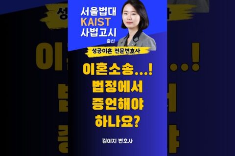 대전이혼전문변호사