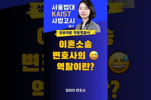 이혼 소송 변호사 역할