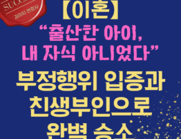 대전이혼전문변호사