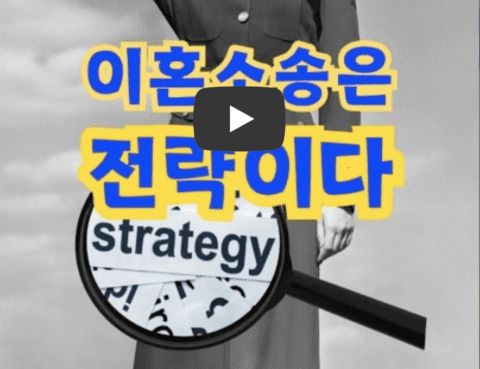 대전이혼전문변호사