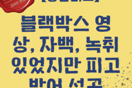 대전 상간소송