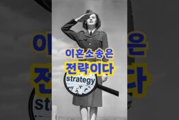 대전이혼소송변호사
