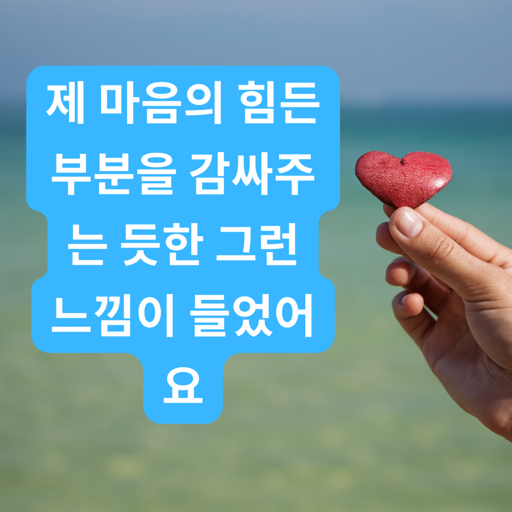 대전이혼전문변호사